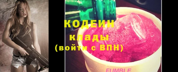 гашик Алзамай