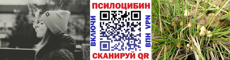 Псилоцибиновые грибы Psilocybine cubensis  гидра вход  Анива 